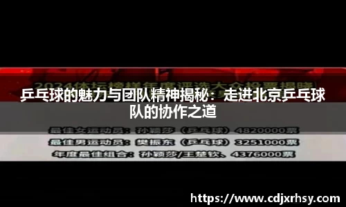 乒乓球的魅力与团队精神揭秘：走进北京乒乓球队的协作之道