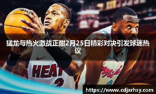 猛龙与热火激战正酣2月25日精彩对决引发球迷热议